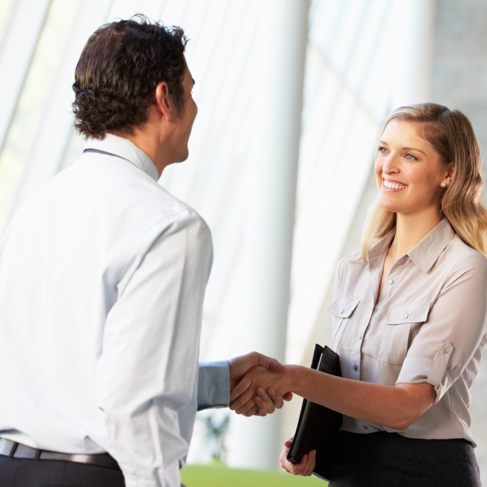 Businessman And Businesswoman Shaking Hands In Office